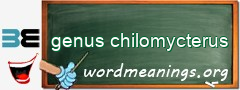 WordMeaning blackboard for genus chilomycterus